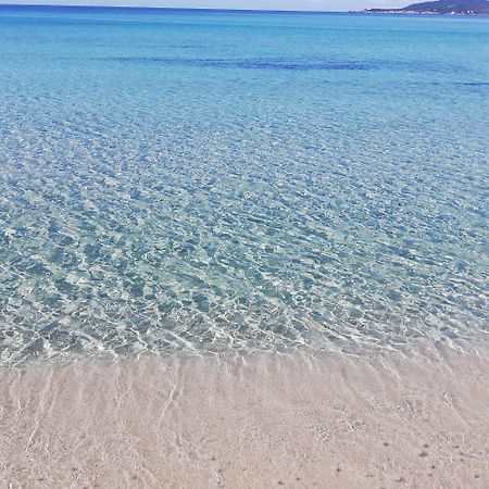 L'Anfora Alghero Quarto foto